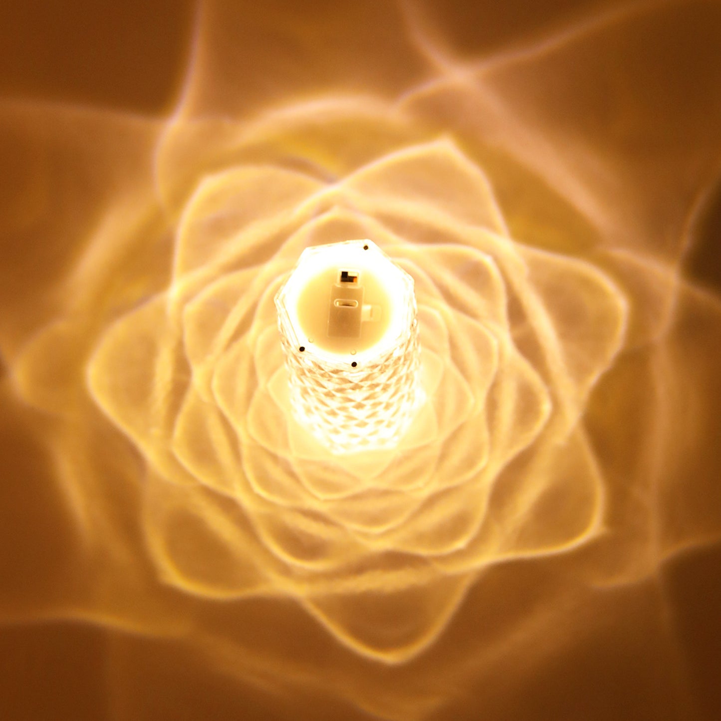 Bordlampa i klar akrylkristall med rosenblad