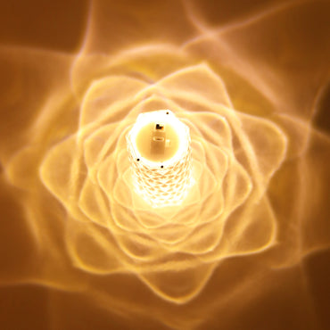 Bordlampa i klar akrylkristall med rosenblad