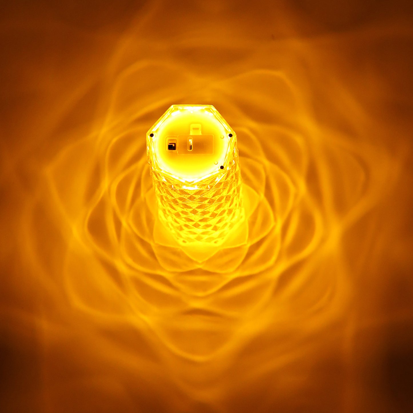 Bordlampa i klar akrylkristall med rosenblad