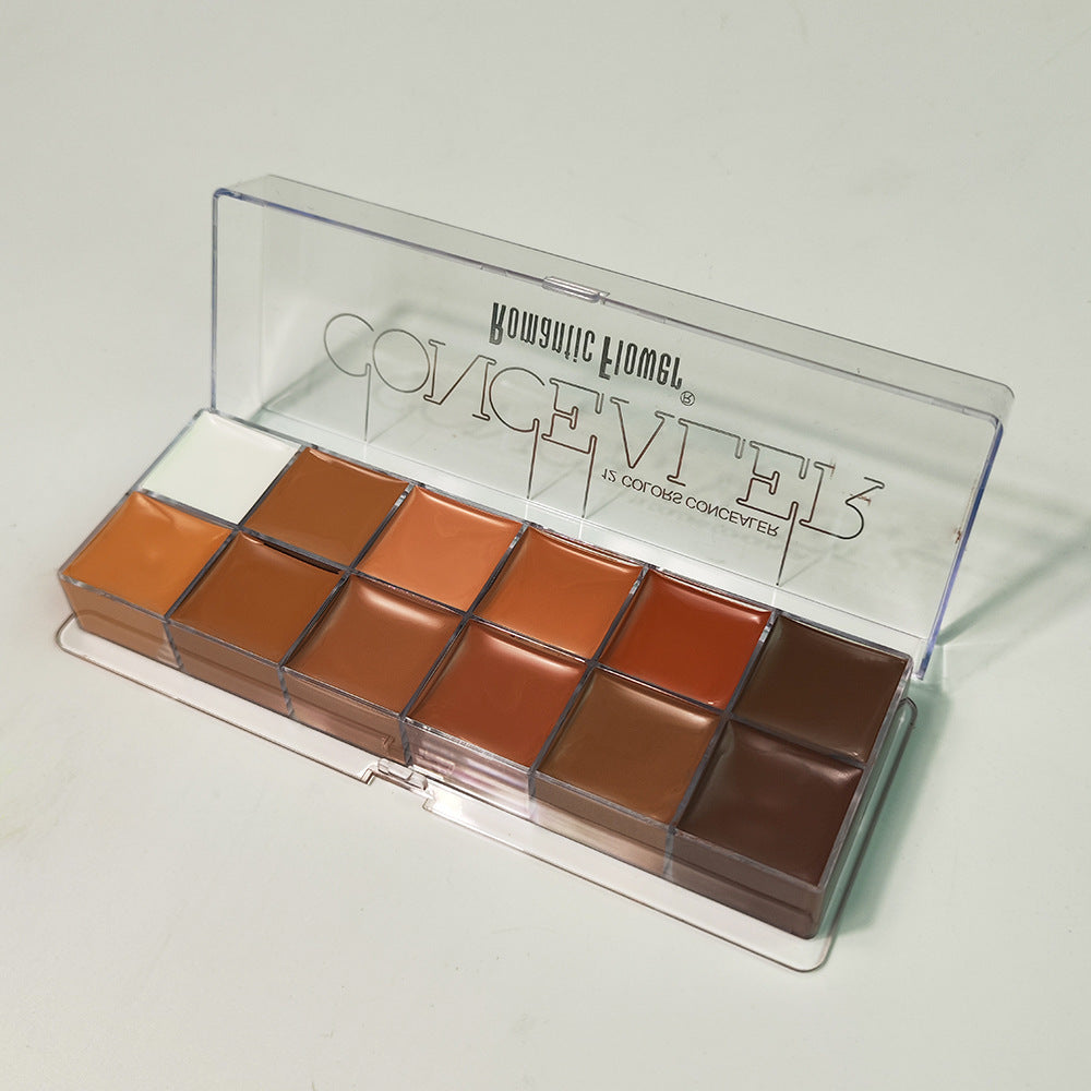 12 färger Concealer mörk hud vattenfast heltäckande foundation