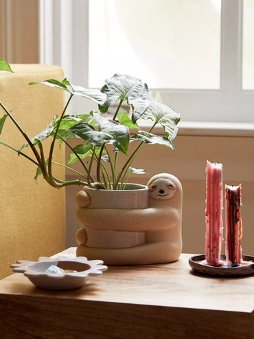 Söta, kreativa och gröna krukväxter