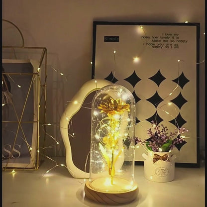 Alla hjärtans dag-present till flickvän eller present till någon du älskar, eviga rosblommor, LED-ljus i glas, bröllopsdekoration, mors dag, kvinnlig present