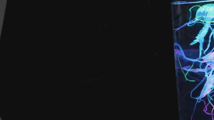 LED-maneter akvarielampa nattlampa USB-driven